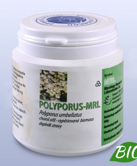 polyporus-mrl-100.jpeg